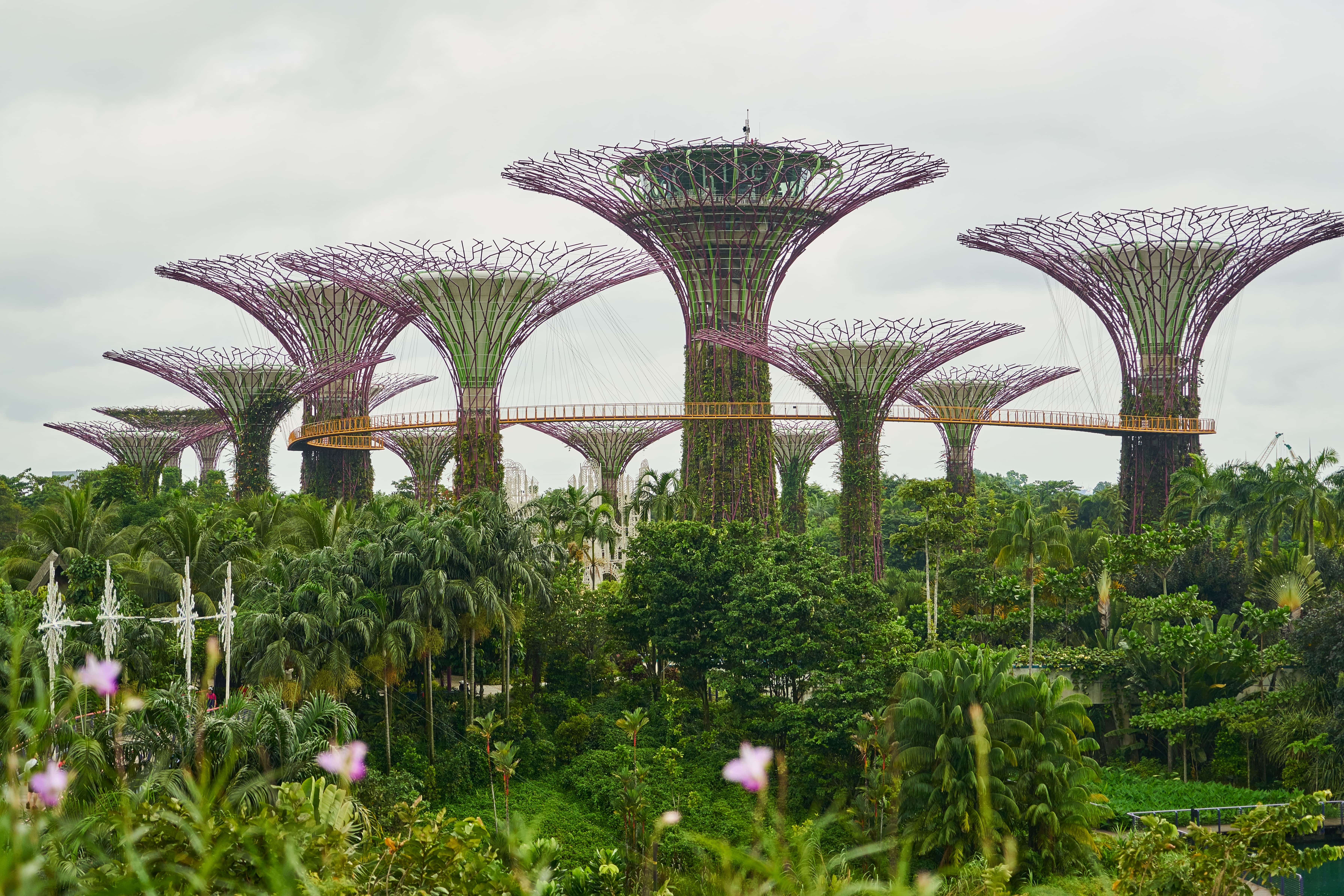 Singapore Hub